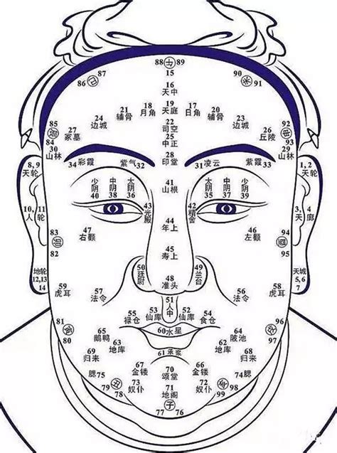 金型人男|【面相学】一看就会的五行识人